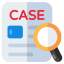 Case Studies