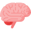 Concept Map
